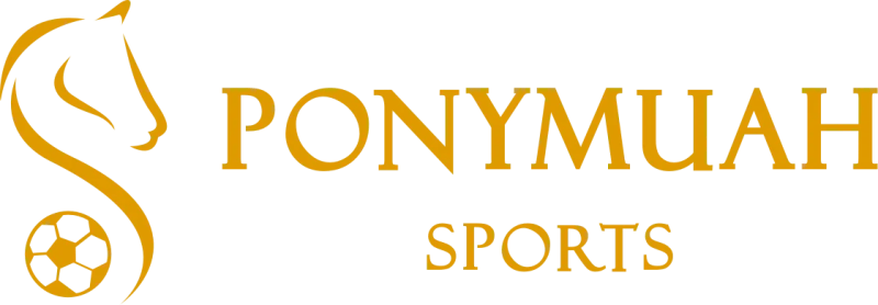 PM體育：具備高質量、全面、易用、全球性的體育平台